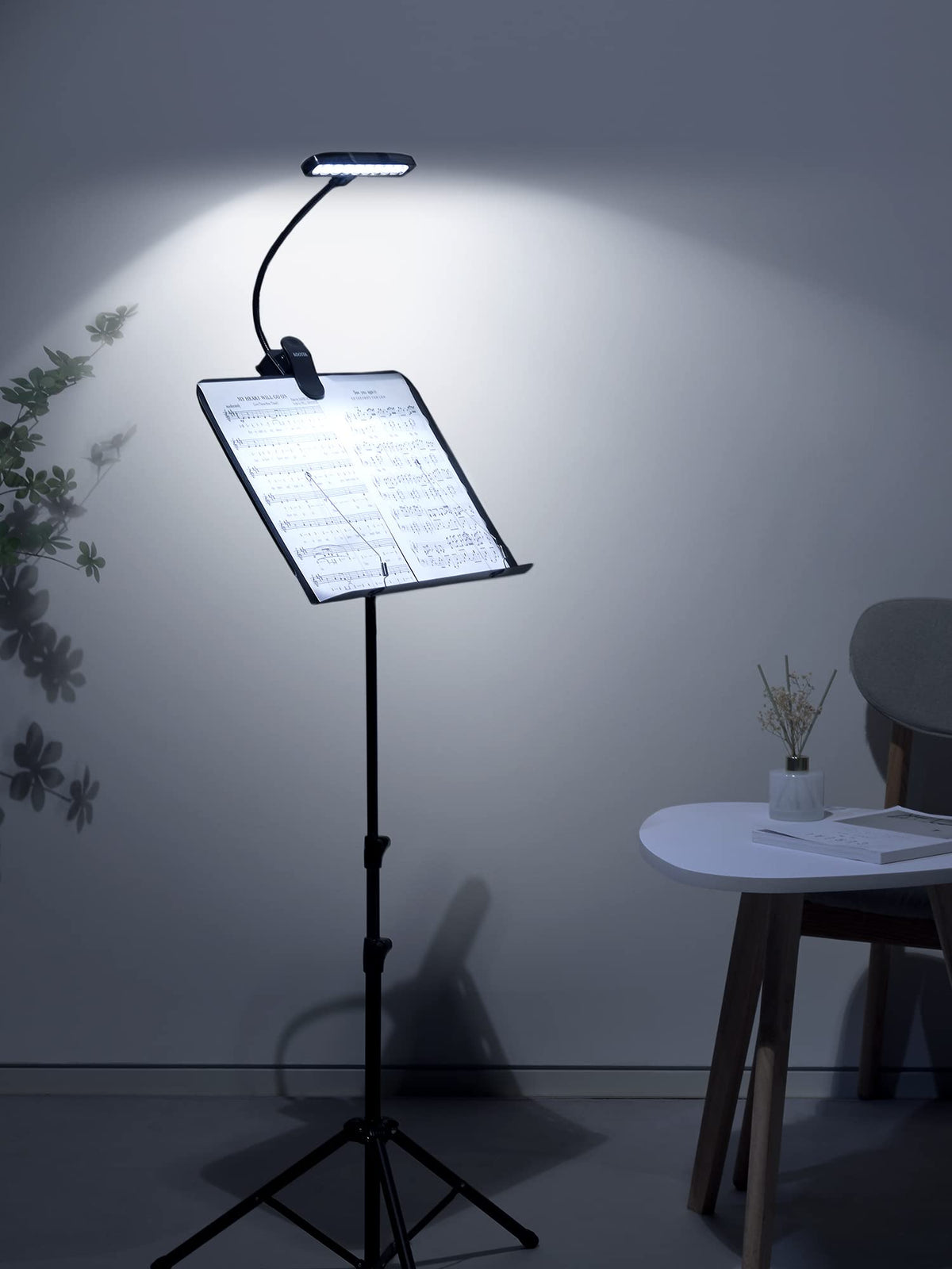 Kootek USB Rechargeable Clip-On Reading Light With 9 LEDs & Flexible Gooseneck